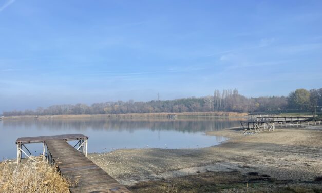 „Kétségbe vagyunk esve”