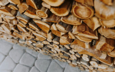 Van elég tűzifa a fatelepeken