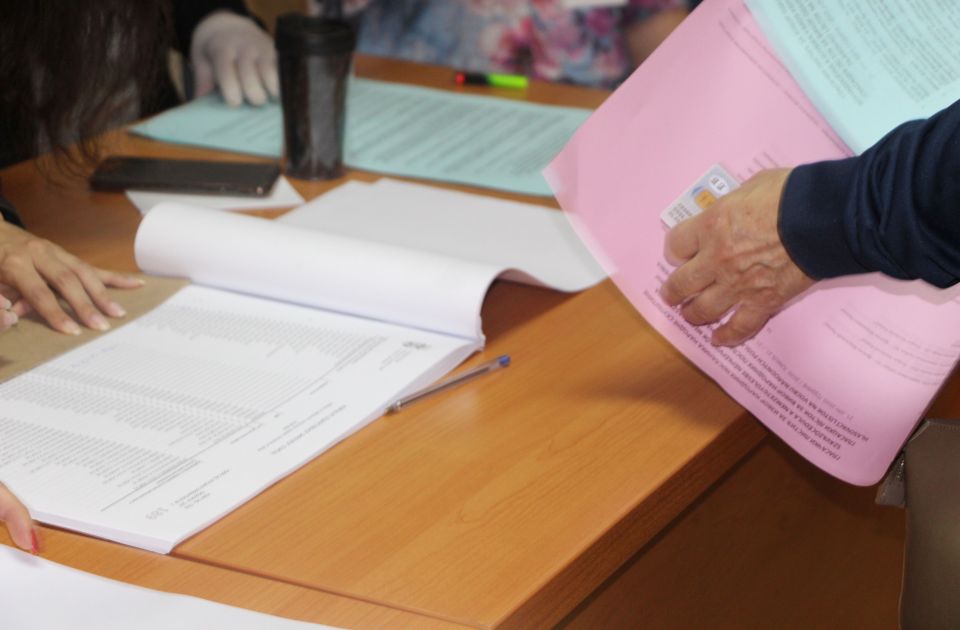 A választói névjegyzék felülvizsgálatát végző bizottságba a VMSZ Vujičićet és Butást jelölte