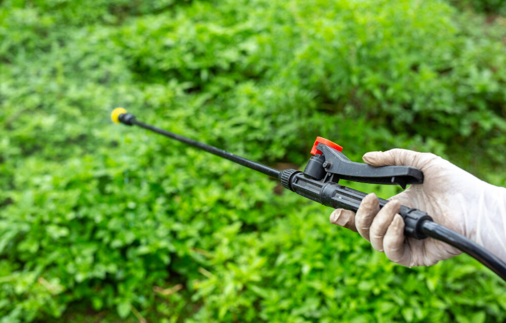Szabadon kapható a rákkeltő gyomirtó Szerbiában, akár gyerek is megveheti