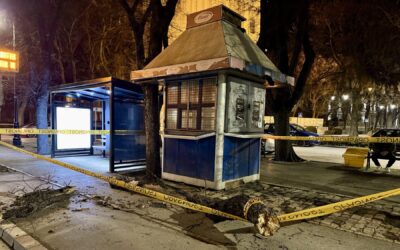 A kerékpárútra zuhant egy faág