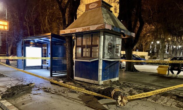 A kerékpárútra zuhant egy faág