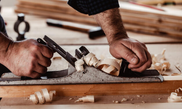 Négy új felnőttképzési programot indítanak Zentán