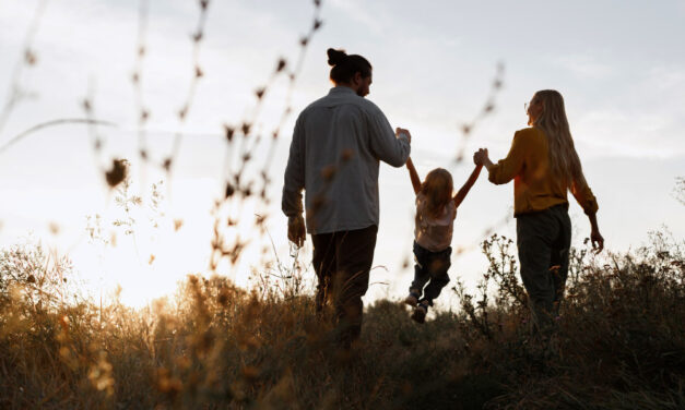 Húszezer dináros támogatás a szabadkai családoknak