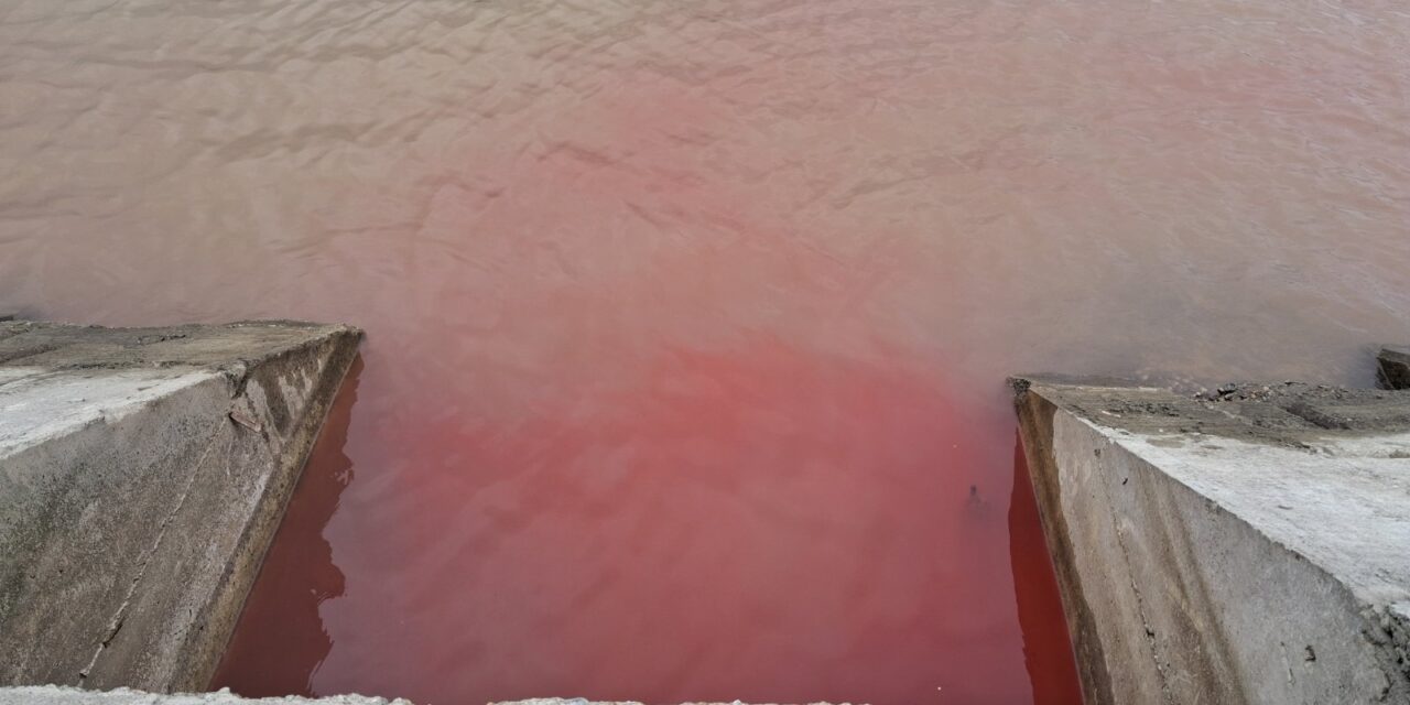 Mi folyik a Dunába?