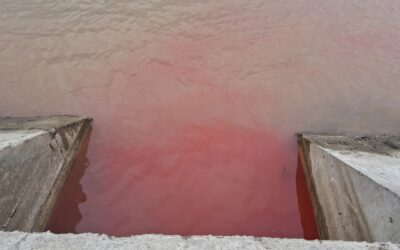 Mi folyik a Dunába?