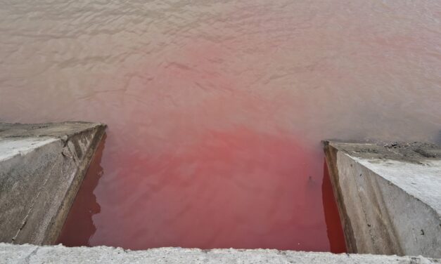 Mi folyik a Dunába?