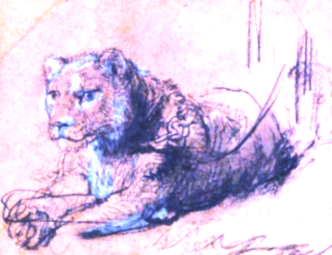 <span class="entry-title-primary">Közel 18 millióért kelt el a Rembrandt-rajz</span> <span class="entry-subtitle">A befolyt összeget a vadmacskák megóvására fordítják</span>