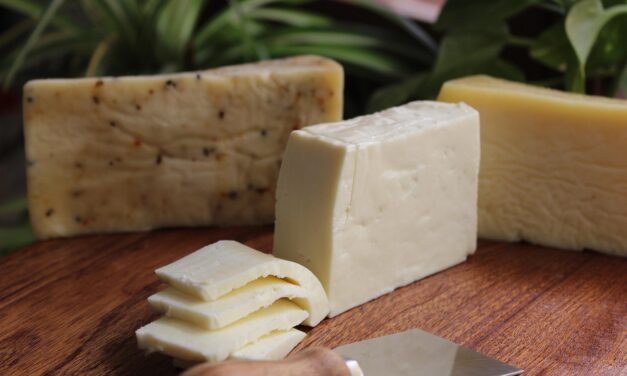 Csalásra készült a sajtok minőségmegőrzési idejével a vajdasági tejgyár