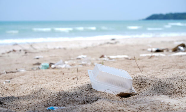 Retro szemét jelent meg Skócia strandján