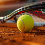 Sakk-matt a Szerb Teniszszövetségnek?