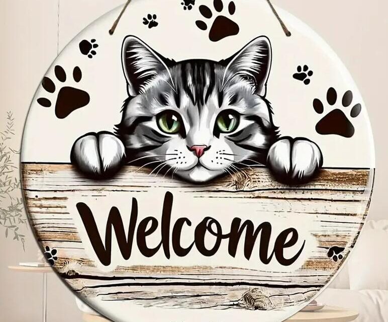 Cicarajongók otthona – a macskás élet alapjai