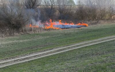 Gyújtogattak a csókai töltés mellett