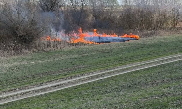 Gyújtogattak a csókai töltés mellett