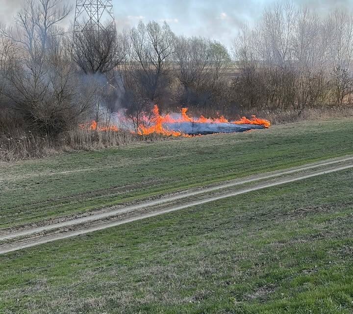 Gyújtogattak a csókai töltés mellett