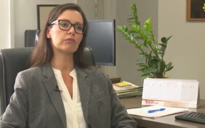 Nyílt levél Pesevszki Evelynnek, a Magyar Szó főszerkesztőjének