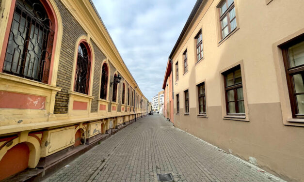 Elveszik az Újvidéki Művészeti Akadémia helyiségeit