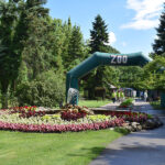 Eljárás indul a Palicsi Állatkertben történtekkel kapcsolatban