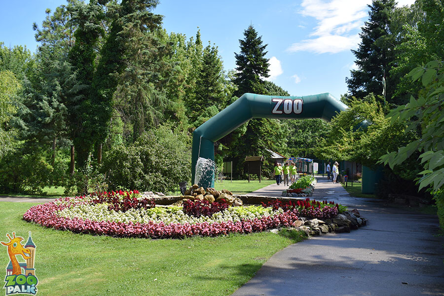 Eljárás indul a Palicsi Állatkertben történtekkel kapcsolatban