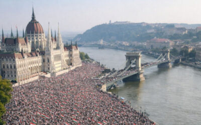 Hithű pártkatonát a valóság nem zavarja