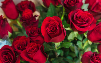 A tavalyi virágimport 42 millió euró volt