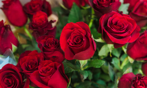 A tavalyi virágimport 42 millió euró volt