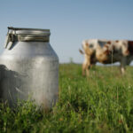 „Egyedül maradtunk”