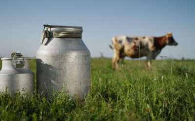 „Egyedül maradtunk” Csalódottak a gazdák, szerintük sem a diákok, sem a polgárok nem támogatják őket