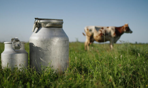 „Egyedül maradtunk”