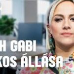 1,3 millió forintért dolgozik Tóth Gabi a Fidesz-frakciónak