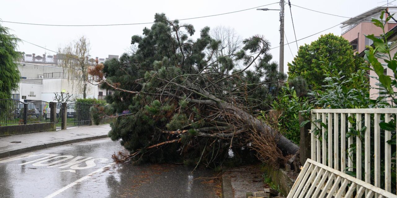 Zágrábot megbénította a vihar, Sljemén hóvihar tombol