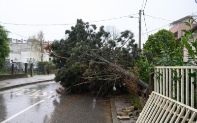 Zágrábot megbénította a vihar, Sljemén hóvihar tombol