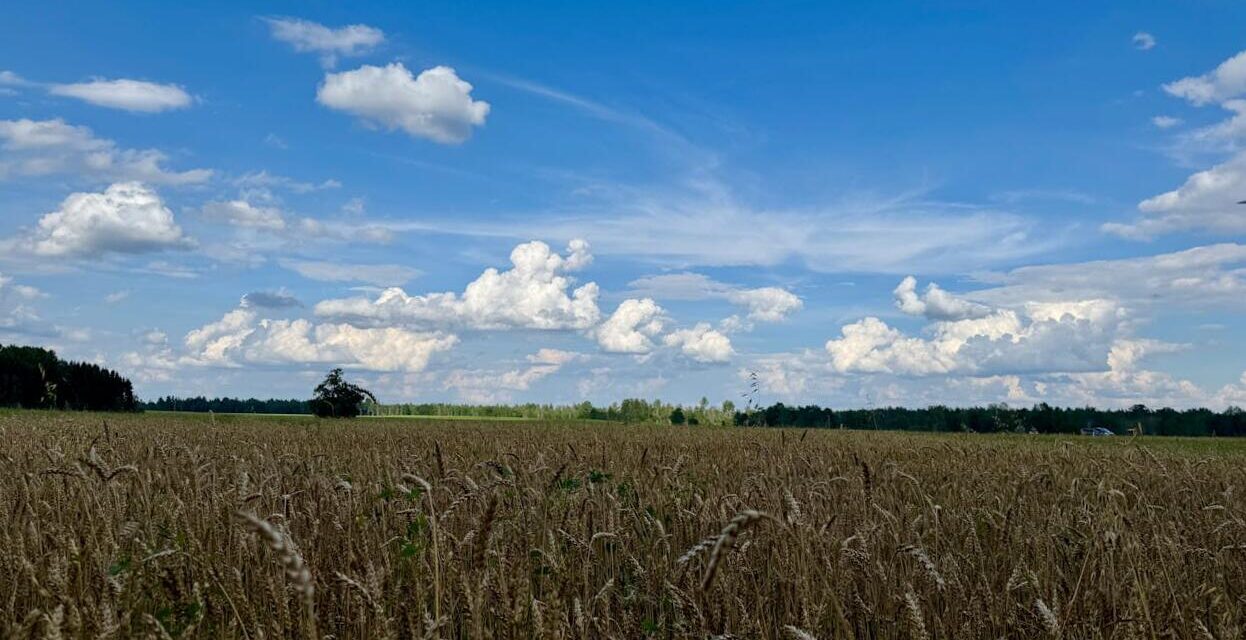 A mezőgazdasági infrastruktúra a stratégia alapja