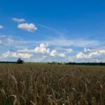 A mezőgazdasági infrastruktúra a stratégia alapja (Fotó: www.hevesgep.hu)