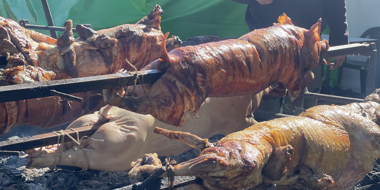 Mit kínál a palicsi majális az idén?