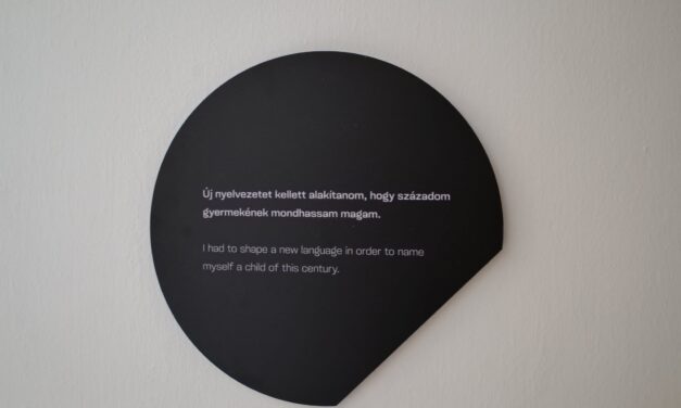 Látványmúzeum és önértés-inspiráció Vasarelyvel