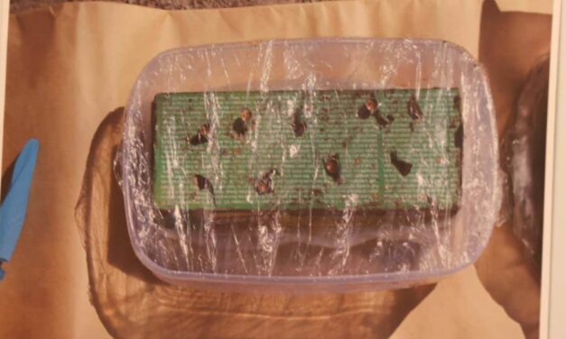 Volt tűzszerész: Négy kilogram robbanóanyag jelentős mennyiségnek számít