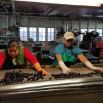 A feldolgozóiparban több, mint 11 ezer személy veszítette el a munkáját