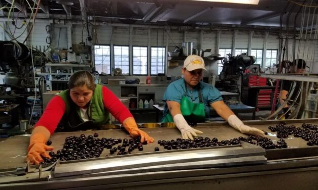 A feldolgozóiparban több, mint 11 ezer személy veszítette el a munkáját