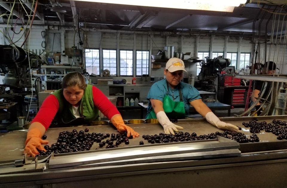 A feldolgozóiparban több, mint 11 ezer személy veszítette el a munkáját