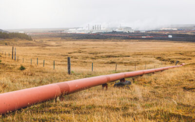 A biztonságpolitikai szakértő három nappal ezelőtt megjósolta a kanizsai eseményeket