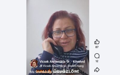 Vicsek Annamária telefonon mozgósított a Fidesznek
