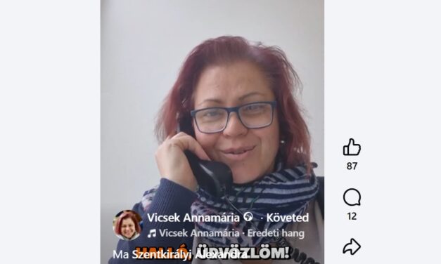 Vicsek Annamária telefonon mozgósított a Fidesznek