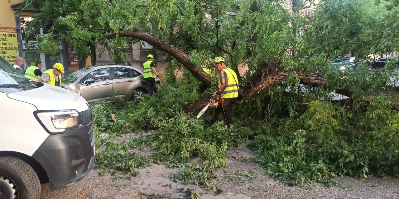Lecsapott a vihar Szabadkára, a Zombori úton áll a forgalom (Galéria)