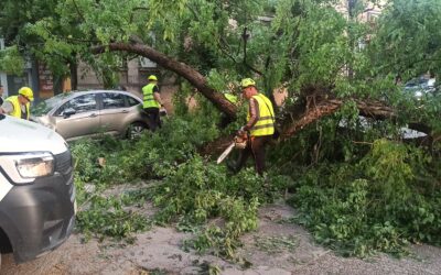 Lecsapott a vihar Szabadkára, a Zombori úton áll a forgalom (Galéria)