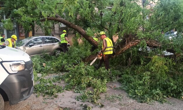Lecsapott a vihar Szabadkára, a Zombori úton áll a forgalom (Galéria)