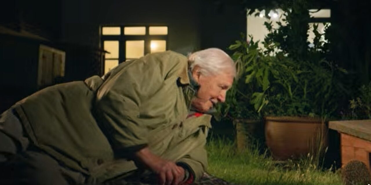 David Attenborough 100 éves