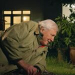 David Attenborough 100 éves