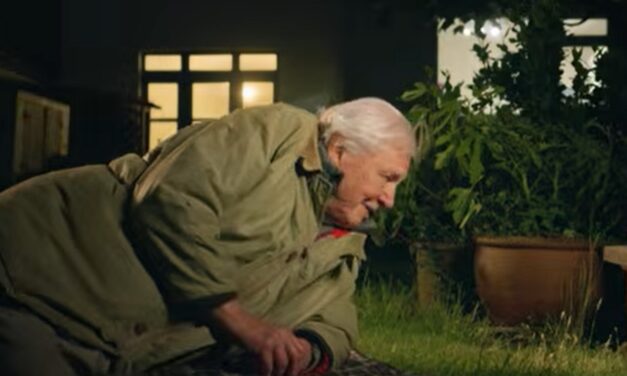 David Attenborough 100 éves