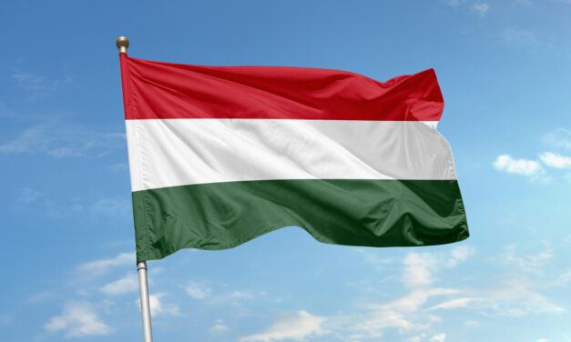 Magyar zászlóégetés Szabadka központjában